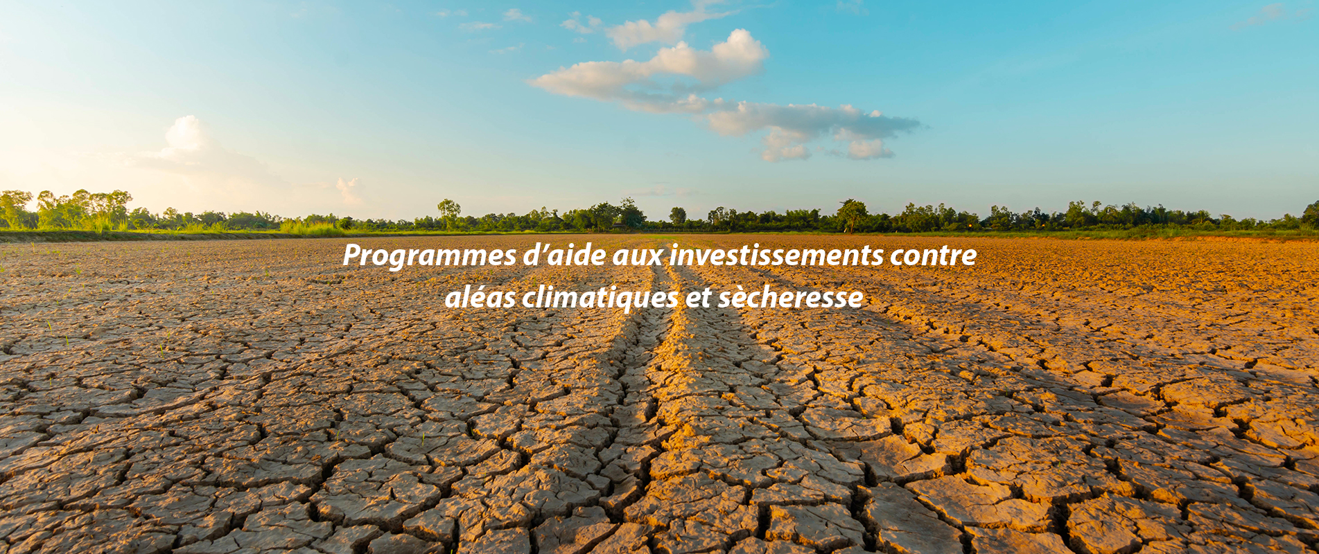 Programmes d’aide aux investissements contre aléas climatiques et sècheresse