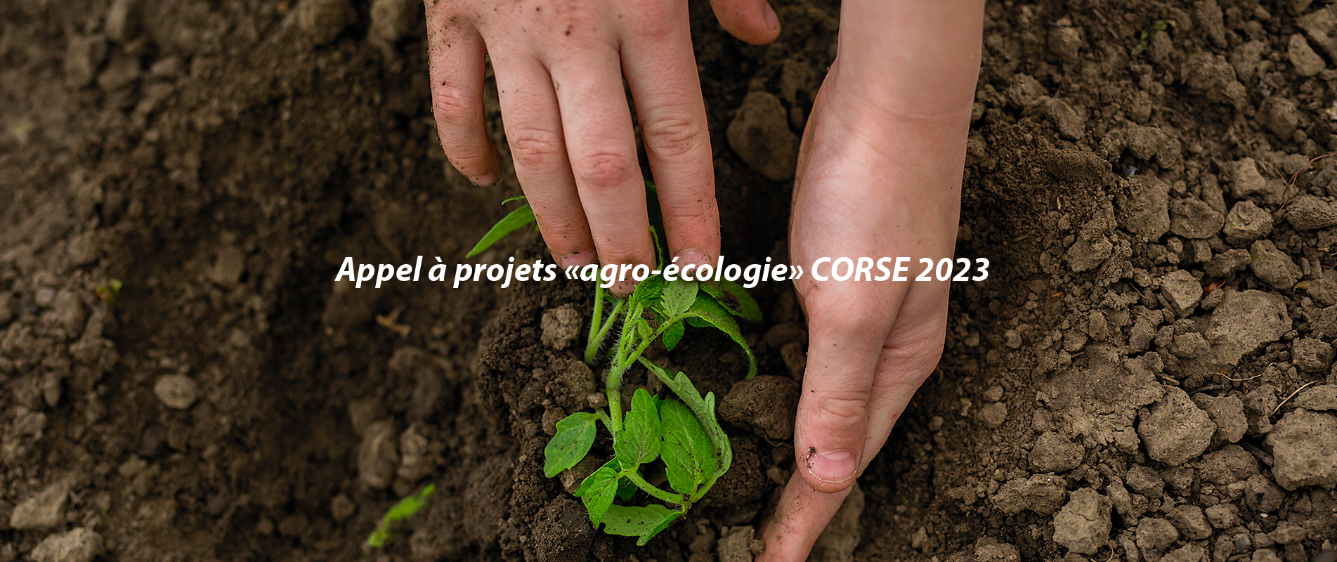 Appel à projets « agro-écologie » CORSE 2023
