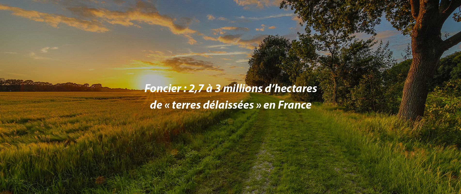 Foncier : 2,7 à 3 millions d’hectares de « terres délaissées » en France