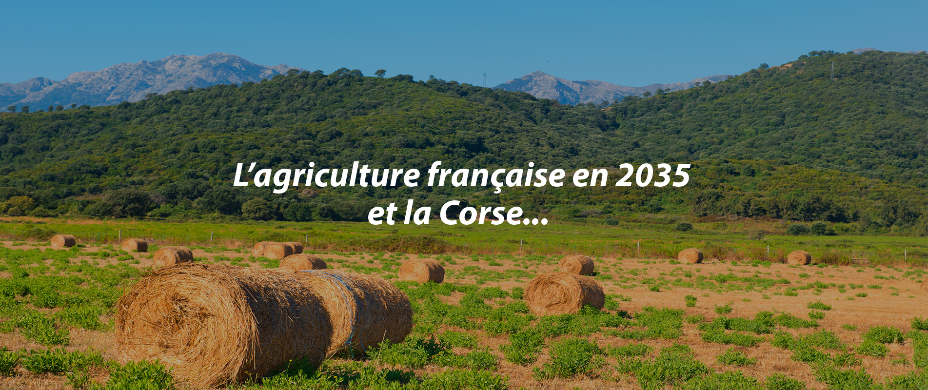 L’agriculture française en 2035 et la Corse…