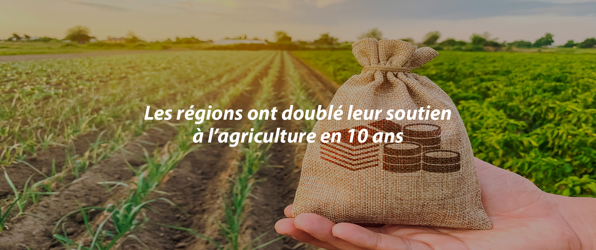 Les régions ont doublé leur soutien à l’agriculture en dix ans