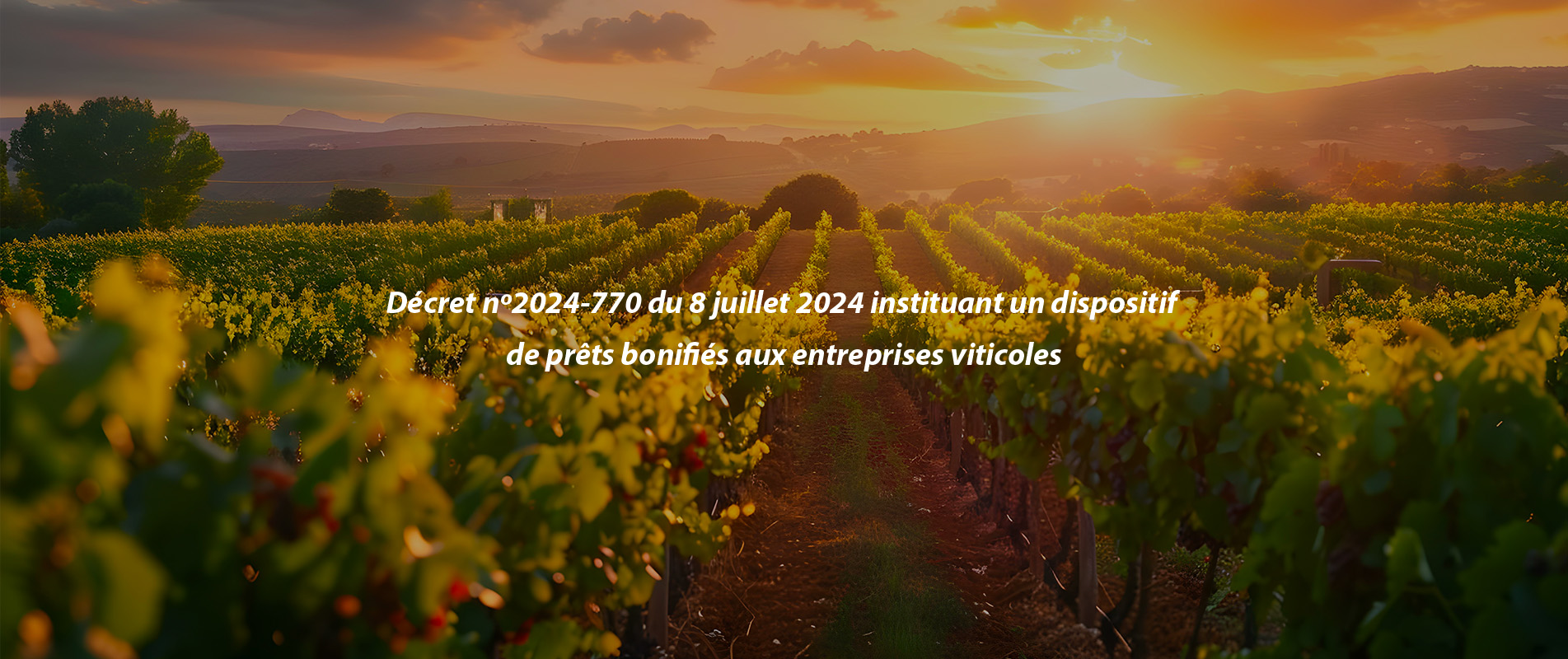 Décret n° 2024-770 du 8 juillet 2024 instituant un dispositif de prêts bonifiés aux entreprises viticoles