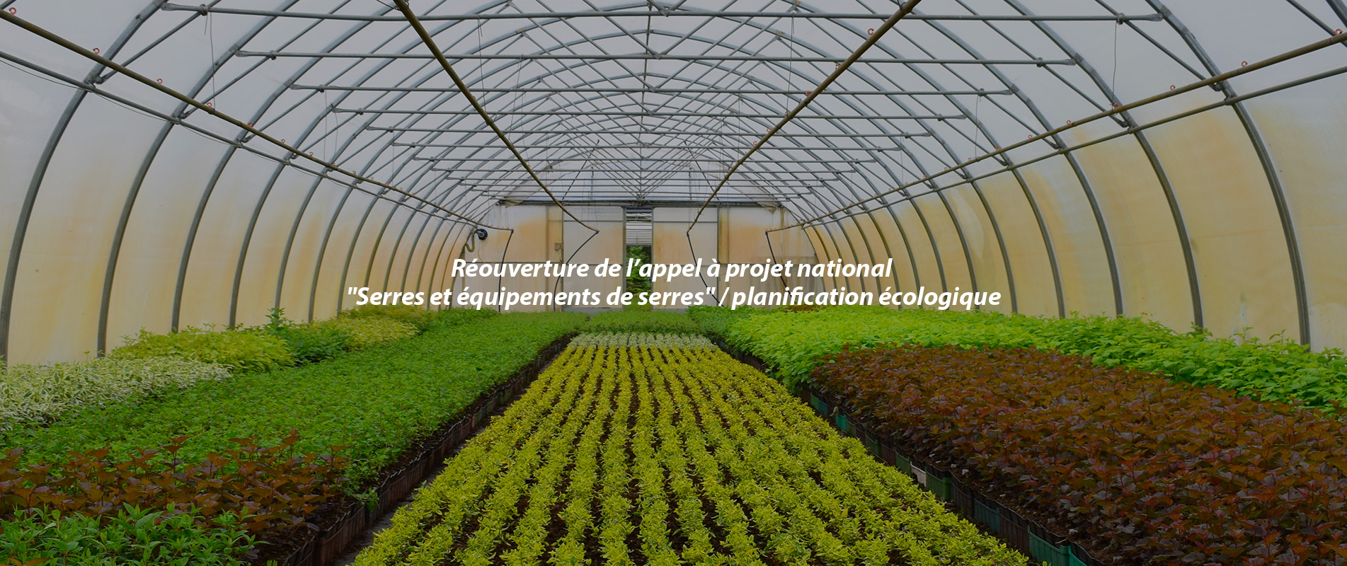 Réouverture appel à projet national « Serres et équipements de serres » / planification écologique