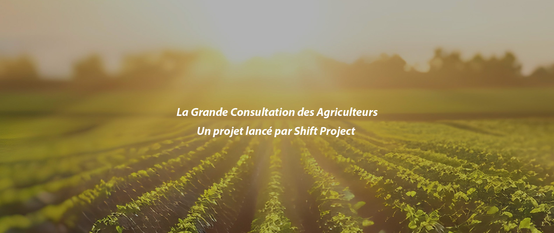 La Grande Consultation des Agriculteurs, un projet lancé par Shift Project