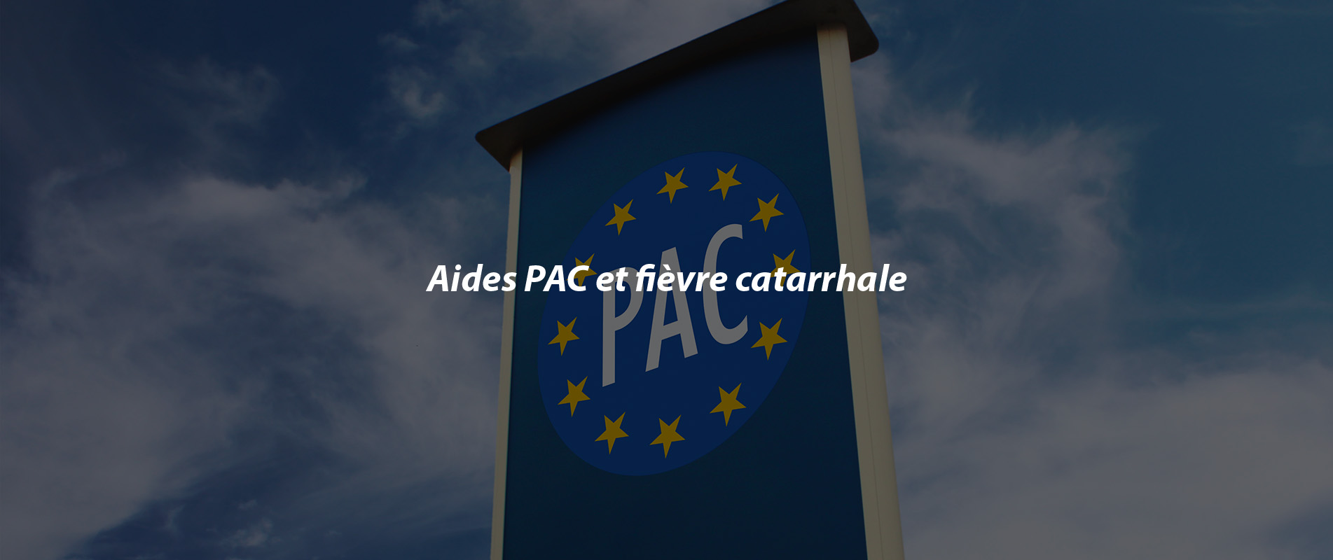 Aides PAC et fièvre catarrhale