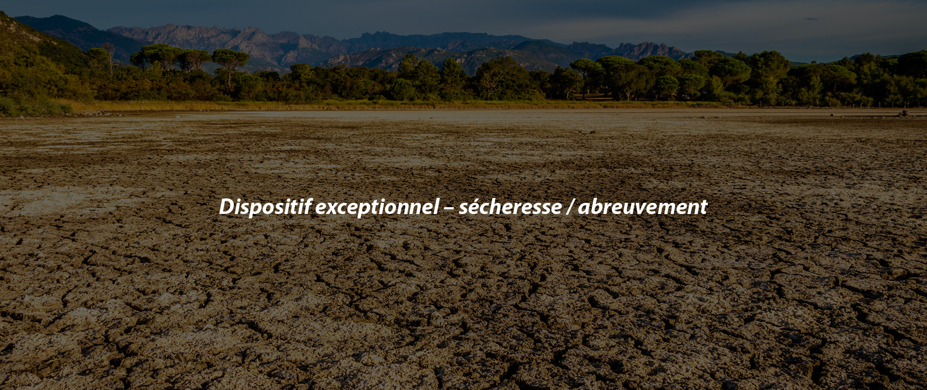 Dispositif exceptionnel – sécheresse / abreuvement