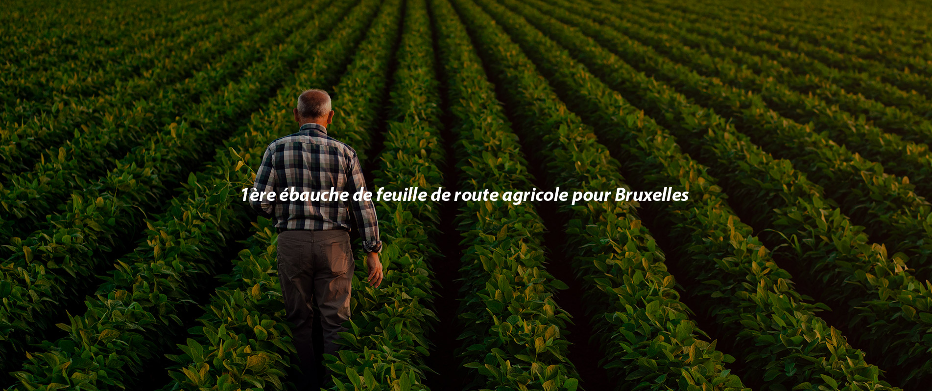 1ère ébauche de feuille de route agricole pour Bruxelles