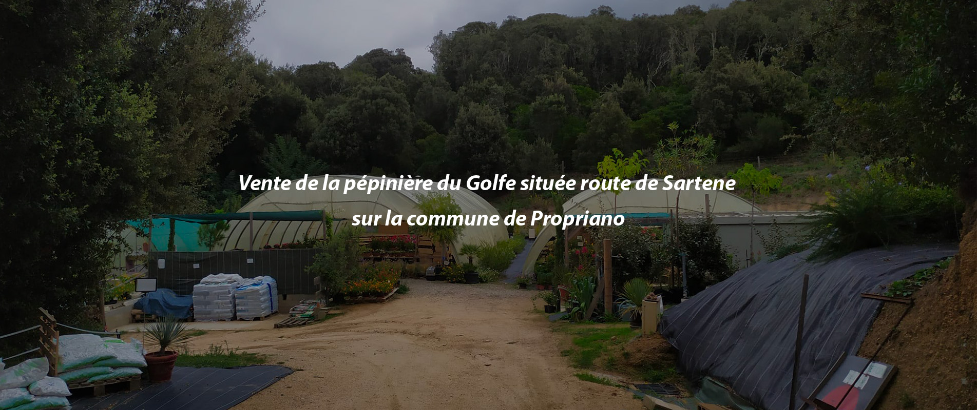 Vente de la pépinière du Golfe située route de Sartene sur la commune de Propriano