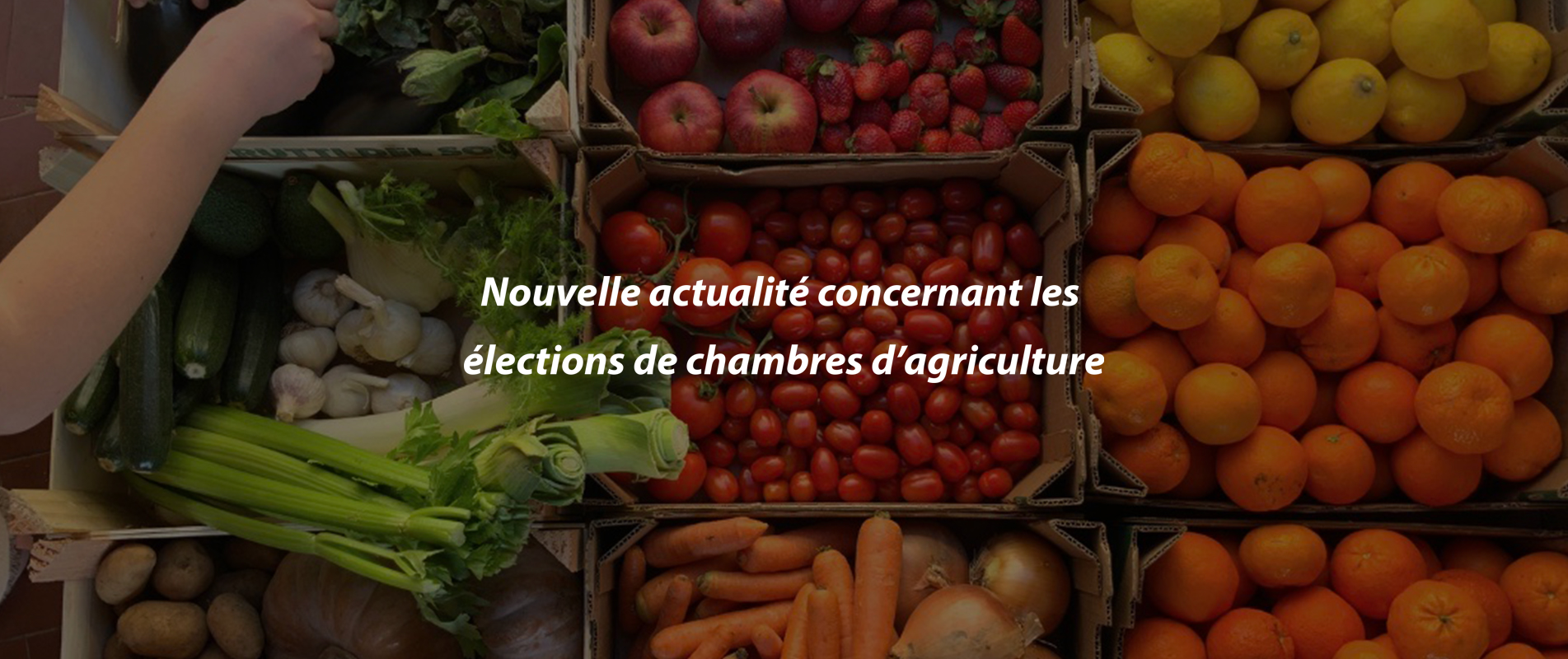 Nouvelle actualité concernant les élections de chambres d’agriculture