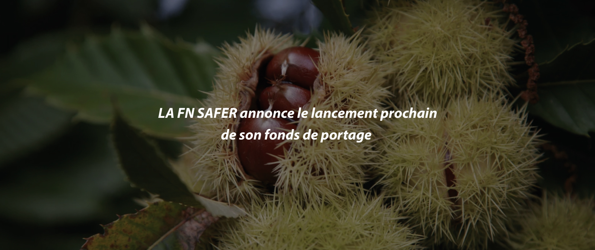 LA FN SAFER annonce le lancement prochain de son fonds de portage